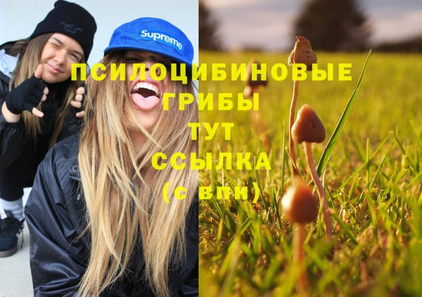 МДПВ Алексеевка
