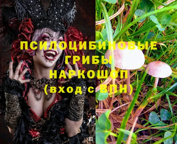 экстази Аркадак