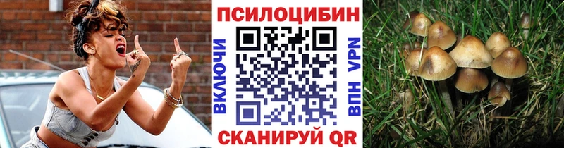 Галлюциногенные грибы прущие грибы  Абдулино 